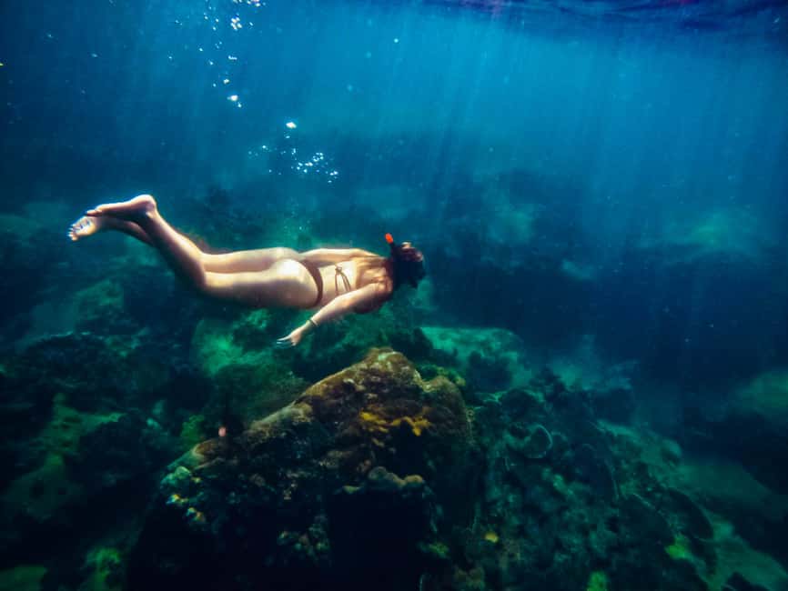 billede nr.12 af aktiviteten Ko Tao: Snorkeltur for senvågnere med frokost og fotos i Thailandbugten, uploadet af udbyder