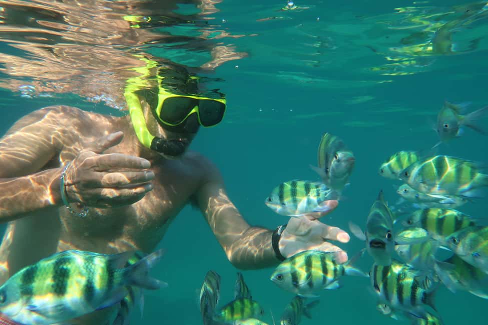 image n.8 of Phuket: 3 Khai Islands Tour For Relaxing (Half or Full day) activity in Gulf of Thailand, uploaded by supplier