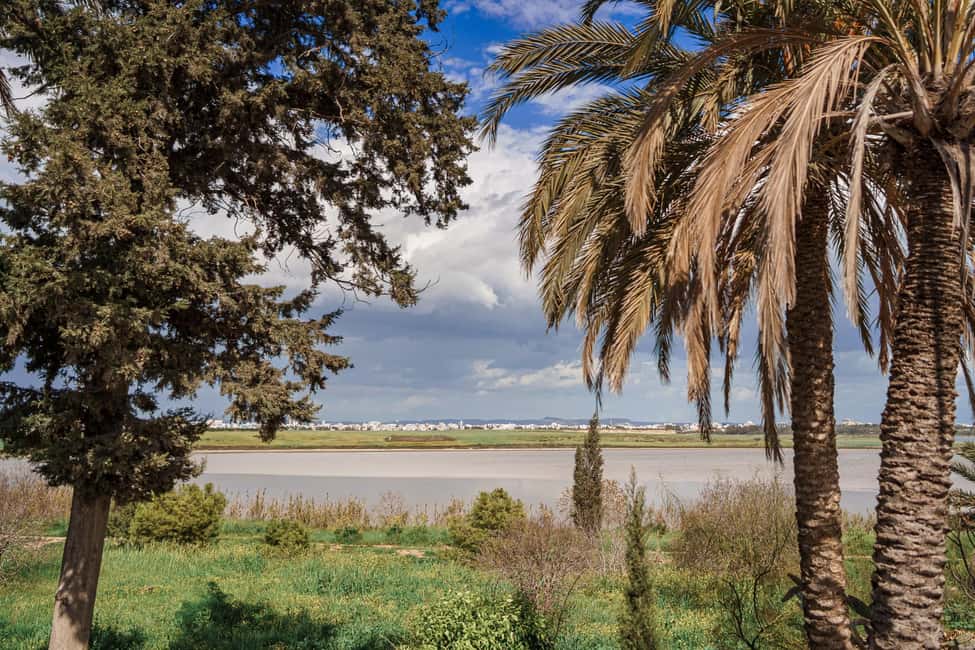 bild nr.16 av Från Paphos: Höjdpunkter i Larnaca med Lefkara & Nicosia aktivitet i Larnaca, uppladdad av arrangören