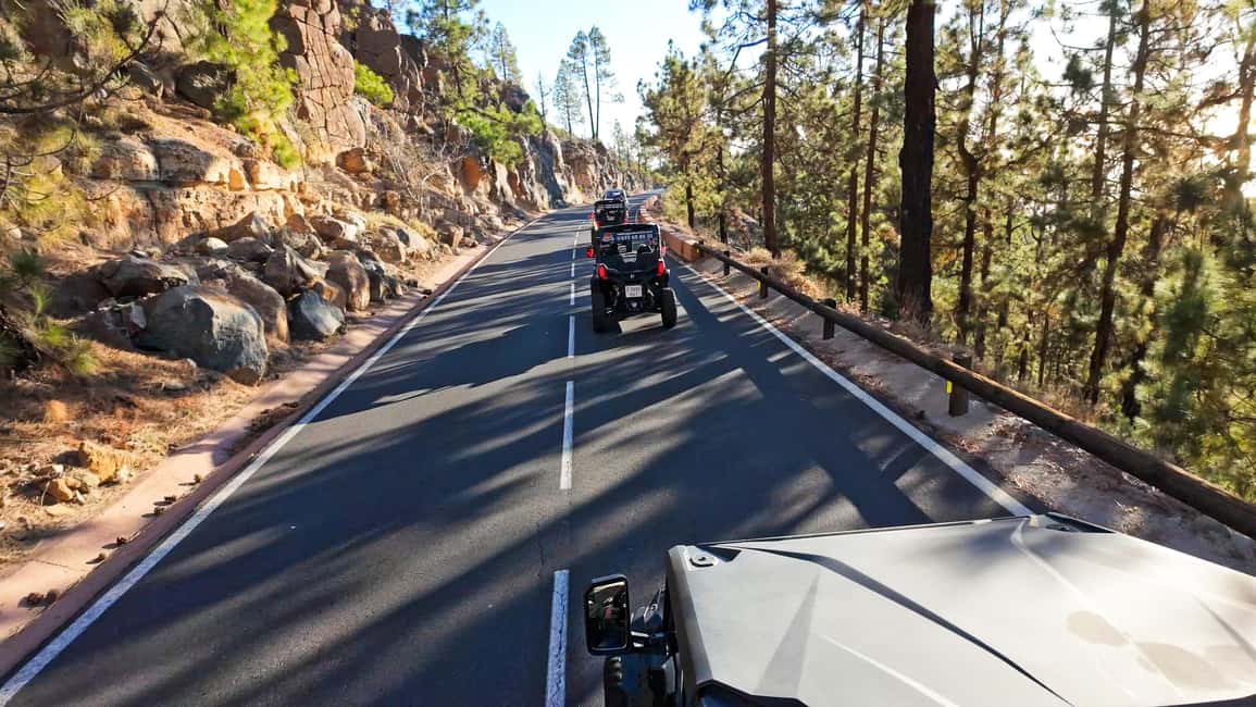 billede nr.16 af aktiviteten Tenerife: Guidet buggytur i Teide Nationalpark i Arona, Tenerife, uploadet af udbyder