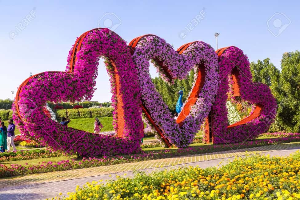imaginea n.4 a activității Dubai: Excursie privată la Miracle Garden & Global Village în Dubai, încărcată de organizator