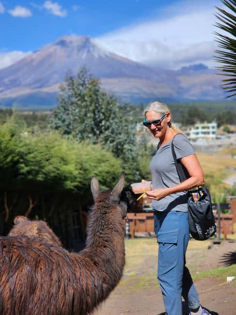 Immagine nº 12 di Vulcano Cotopaxi: escursione a cavallo di un'intera giornata per principianti attività a Cantone di Latacunga, caricata dal fornitore