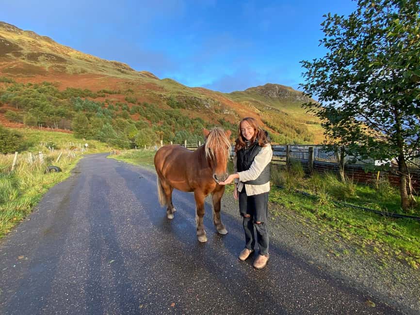 imagen n.º 9 de Inverness: Excursión de 2 días a la Isla de Skye, Fairy Pools y Castillos actividad en Tierras Altas de Escocia, subida por el proveedor