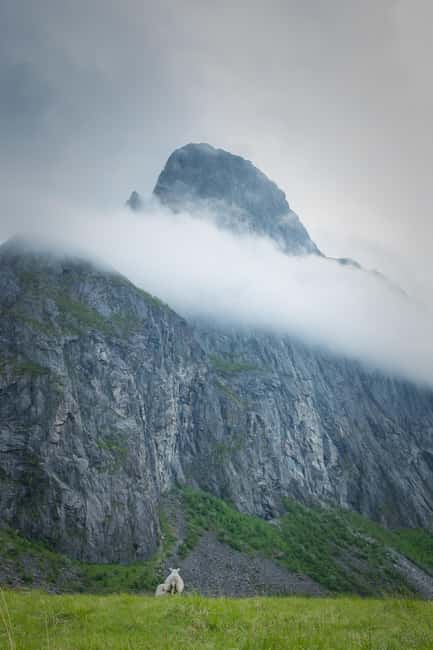 image n.17 of Senja: Fjord Kayaking in Ånderdalen National Park activity in Stonglandseidet, uploaded by supplier