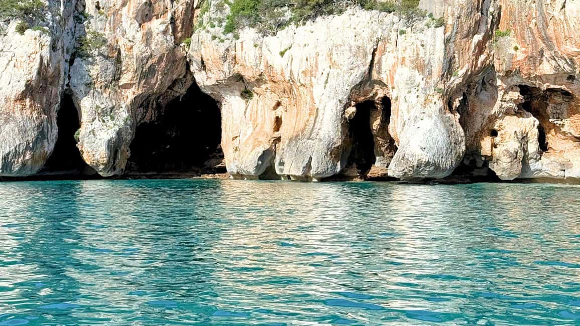 image n.16 of From Cala Gonone: Gulf of Orosei Dinghy Trip activity in Sardinia, uploaded by supplier