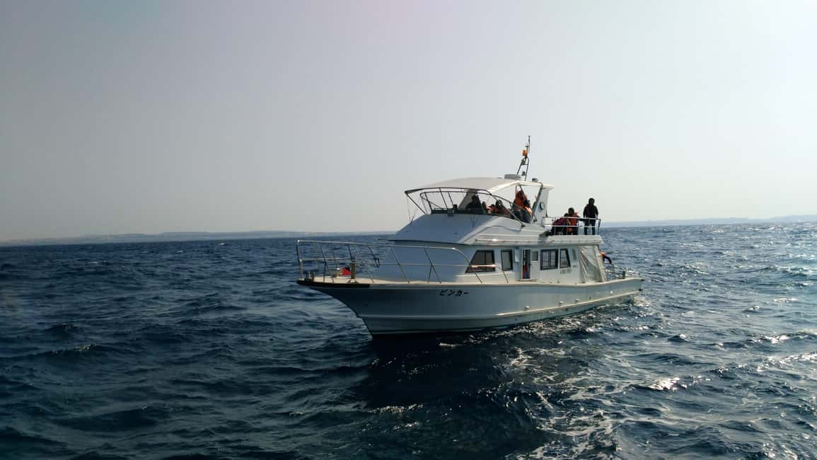 image n.6 of Okinawa : Kerama Whole Day Snorkeling Tour From Chatan activity in Okinawa, uploaded by supplier