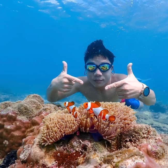 imagen n.º 12 de Bangkok: Excursión de un día a la Isla de Nemo con fotos de drones y almuerzo actividad en Pattaya, subida por el proveedor