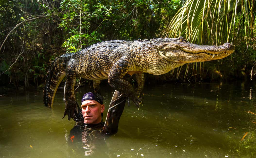 image n.6 of Miami: Wild Everglades Airboat Ride and Gator Encounters activity in Miami, uploaded by supplier