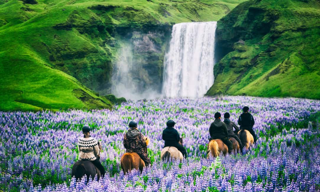 image n.28 of Private Glacier Lagoon & Diamond Beach Tour activity in Northeastern Region, Iceland, uploaded by supplier