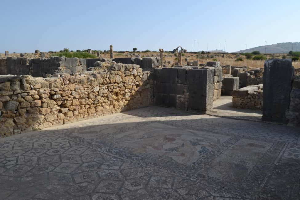 billede nr.41 af aktiviteten Dagstur fra Fes til Volubilis via Meknes og Moulay Idriss i Meknès, uploadet af udbyder