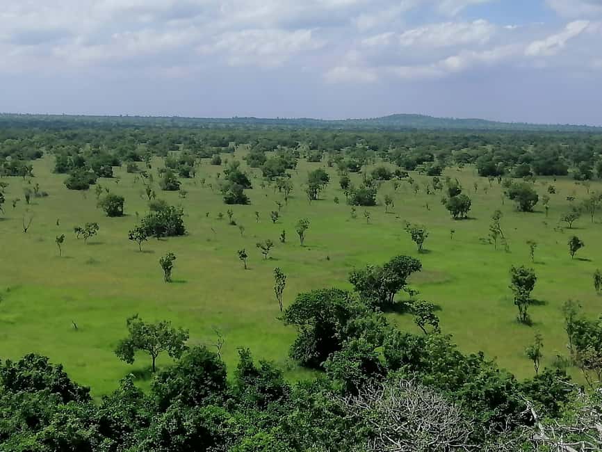 image n.5 of Accra: Half day private safari with pick up activity in Accra, uploaded by supplier