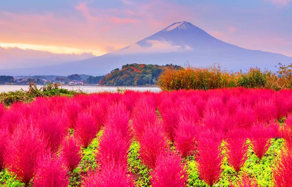 image n.17 of Tokyo: Mount Fuji, Kawaguchi Lake, Oshino Hakkai 1-Day Trip activity in Fujikawaguchiko, uploaded by supplier