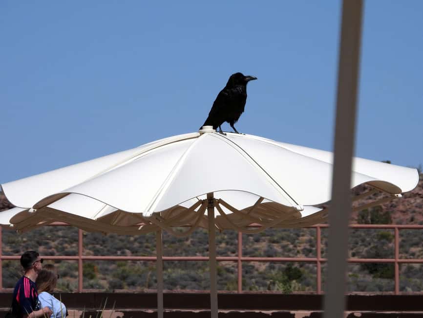 image n.37 of Las Vegas:Grand Canyon West Tour, Ranch Lunch, Skywalk Entry activity in Arizona, uploaded by supplier