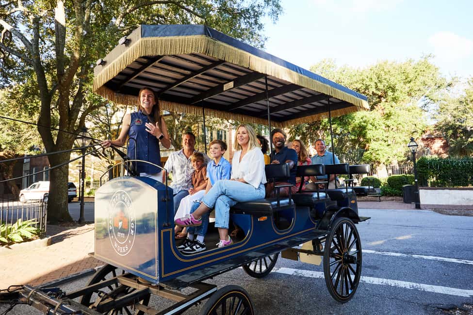 image n.3 of Charleston: Downtown Horse-Drawn Carriage Tour activity in Charleston, uploaded by supplier