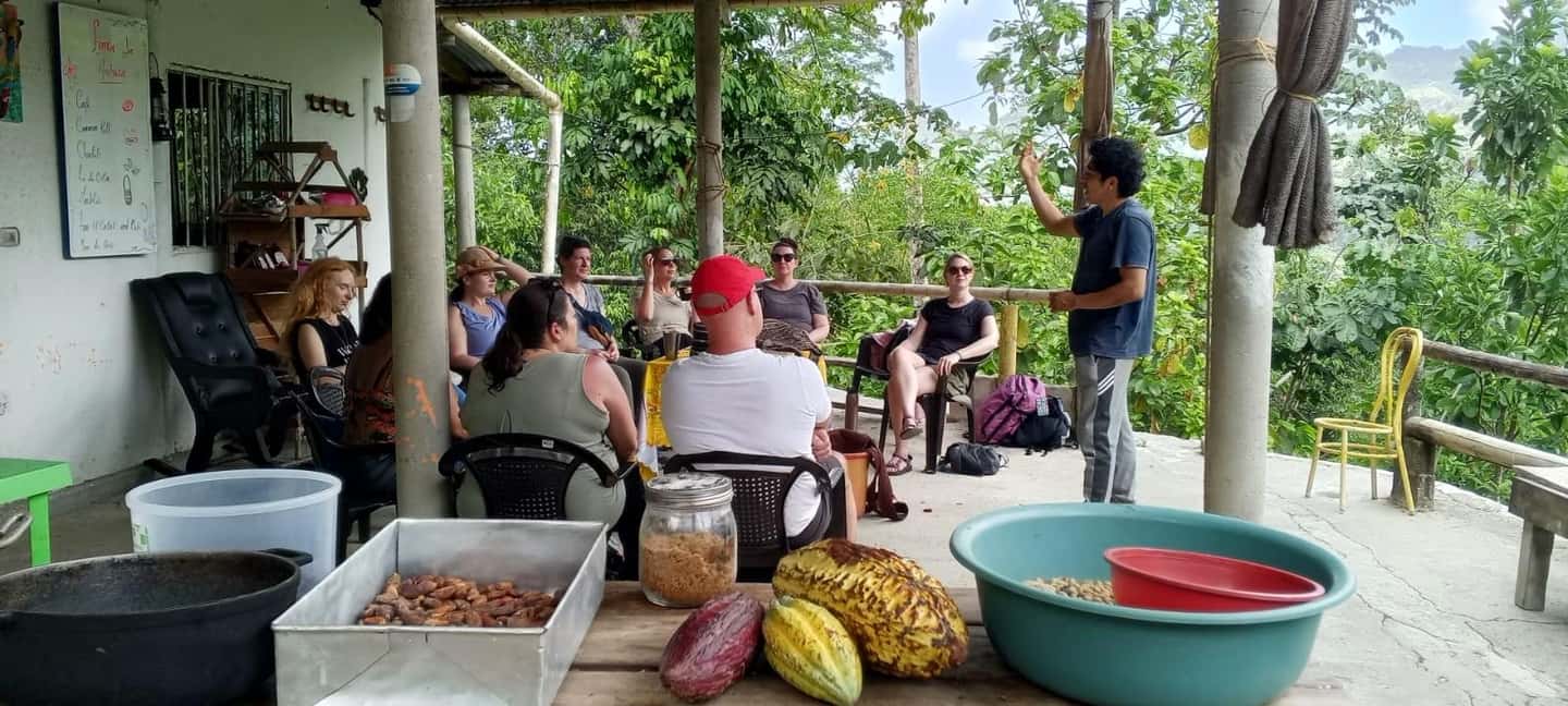image n.6 of Cacao Experience Tour activity in Magdalena, uploaded by supplier