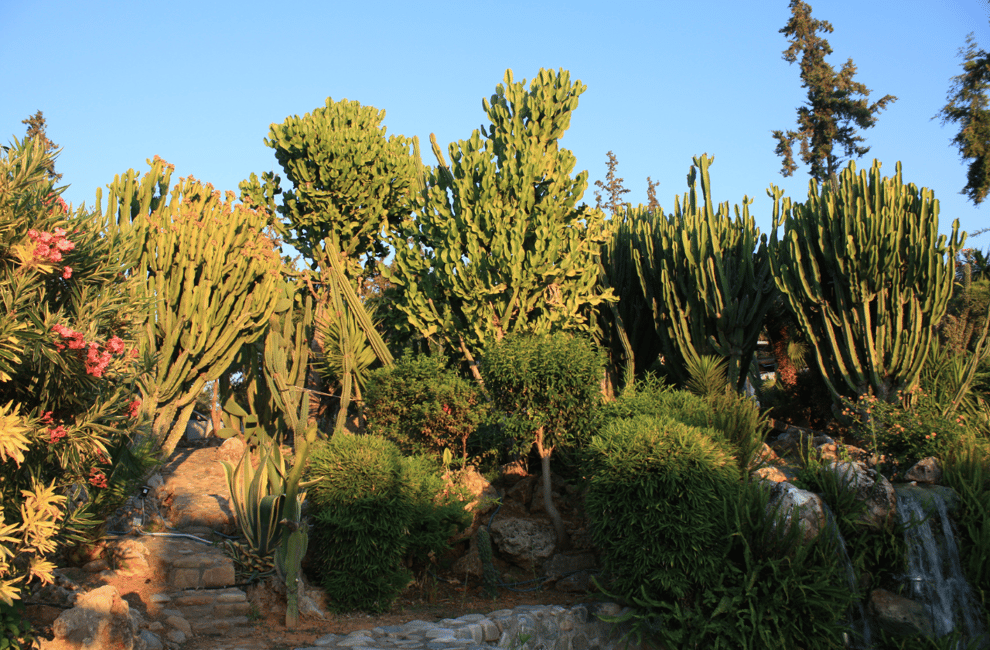 image n.7 of From Rethymno: Waterpark Adventure with Bus Transfer activity in Pappagiannades, uploaded by supplier