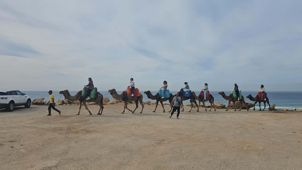 imagen n.º 26 de Desde Tánger: Excursión de día completo a Tánger, Asilah y Cabo Espartel actividad en Tánger, subida por el proveedor