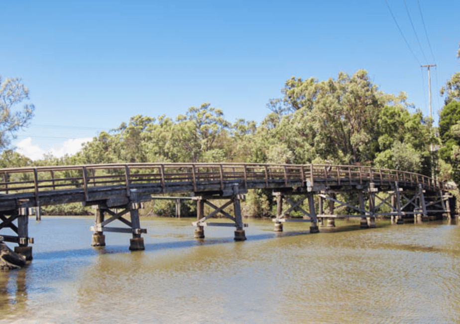 image n.3 of Noosa: E-Bike Tour from Mt Tinbeerwah to Noosa activity in Sunshine Coast, uploaded by supplier