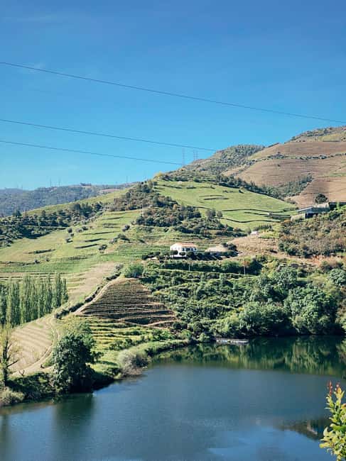 image n.3 of Douro Valley: PRIVATE TOURS with 1 Wine Tasting activity in Lisbon, uploaded by supplier