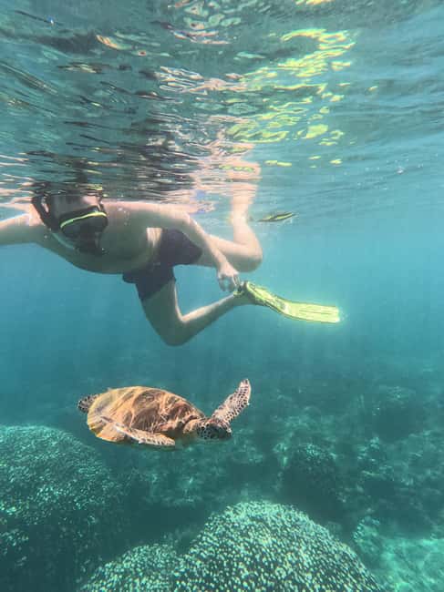 Immagine nº 9 di Tour pomeridiano di snorkeling delle isole Dimaniyat attività a Mascate, caricata dal fornitore