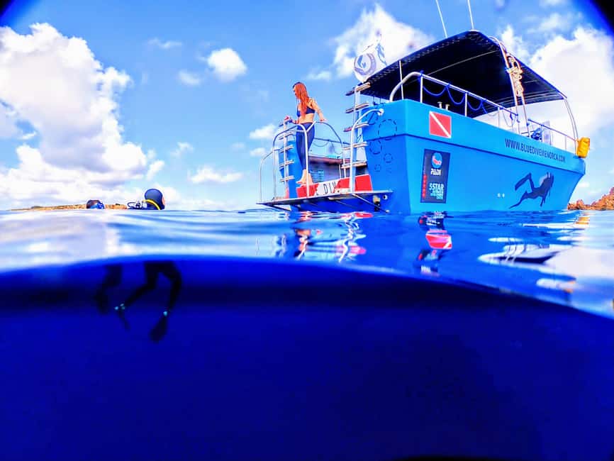 image n.3 of Menorca: Baptism Scuba Diving in Marine Reserve activity in Port d'Addaia, uploaded by supplier