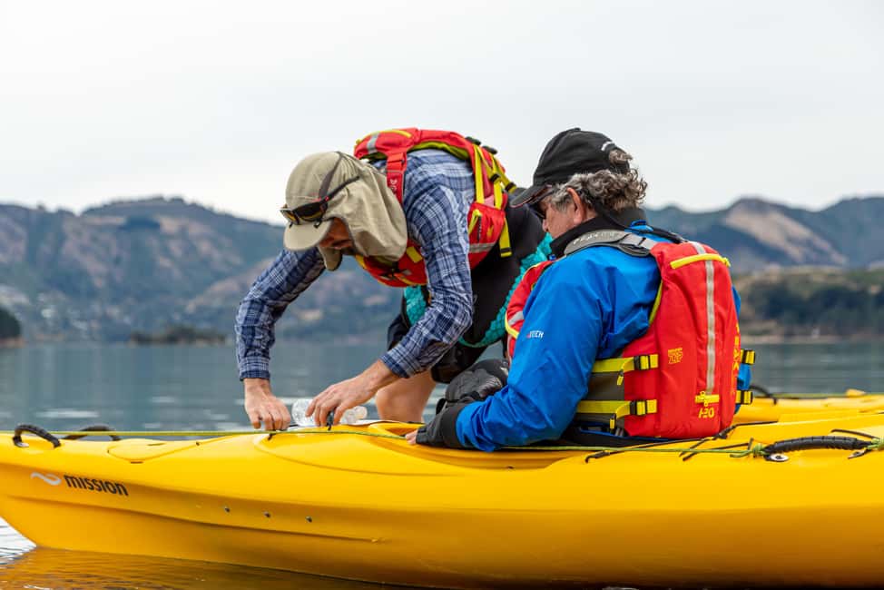 image n.6 of Christchurch: Sea Kayaking Tour of Lyttelton Harbour activity in South Island, uploaded by supplier