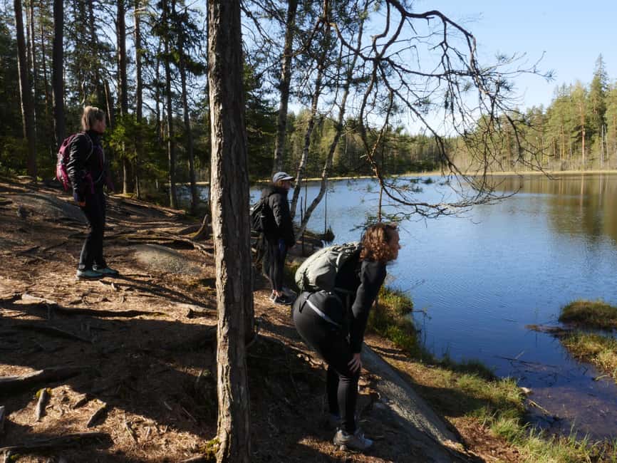Image N°17 de Depuis Helsinki : Visite culinaire du parc national de Nuuksio activité à Helsinki, publiée par le prestataire