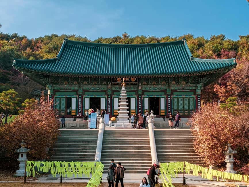 image n.4 of Balwangsan Day Tour: Forest Trails & Scenic Highland Views activity in Gangwon Province, uploaded by supplier