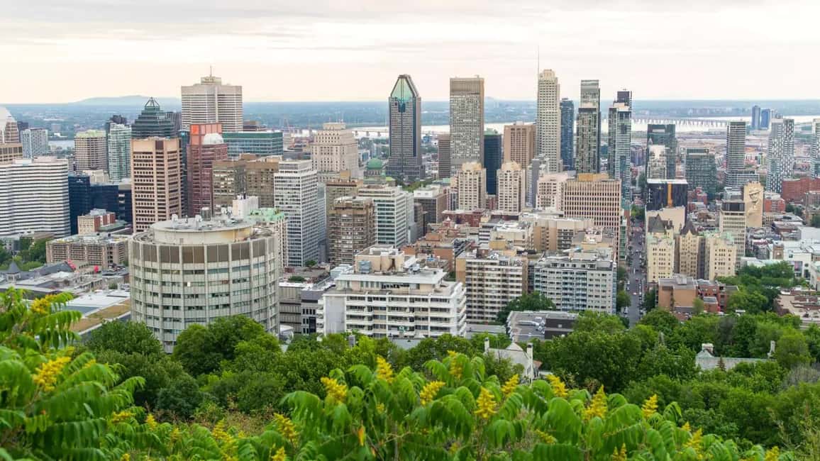 image n.9 of Full-Day Montreal Guided City Tour with Cruise from Ottawa activity in Montreal, uploaded by supplier