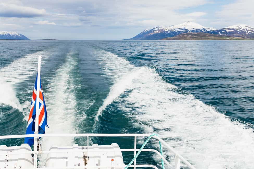 bild nr.18 av Akureyri: 3-timmars klassisk valskådningstur med fartyg aktivitet i Norðurland eystra (Nordöstra regionen), uppladdad av arrangören