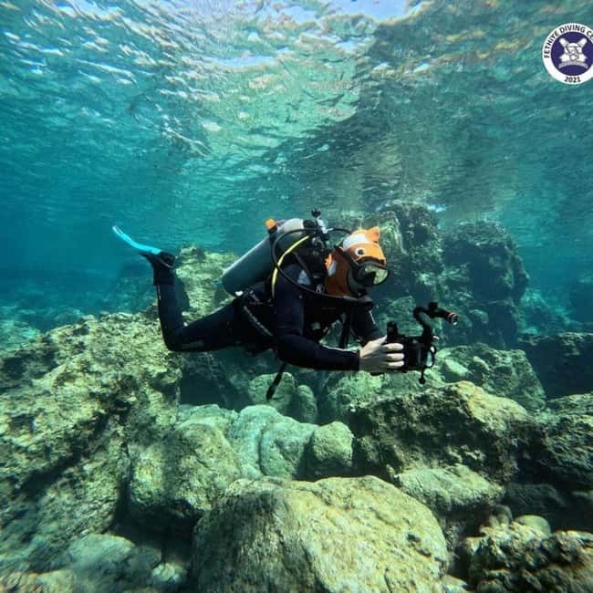 image n.12 of Fethiye: Fly and Dive, Paragliding and Scuba Diving Together, Transfer Included activity in Aegean Coast Region, Turkey, uploaded by supplier