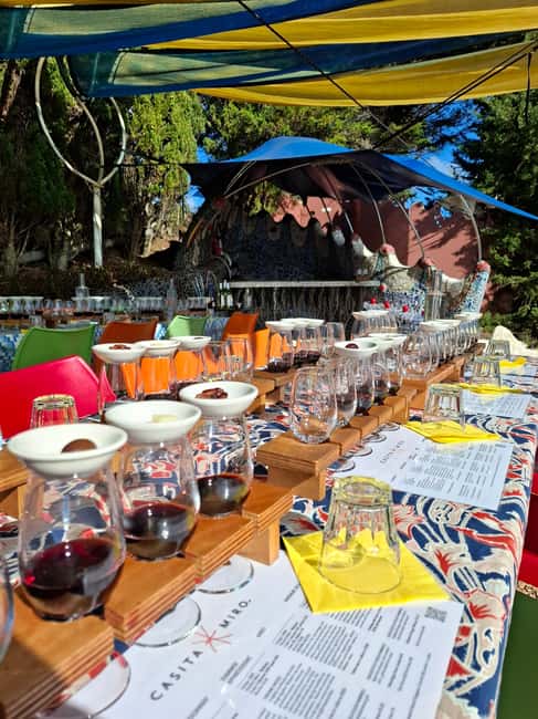 billede nr.11 af aktiviteten Fra Auckland: Waiheke Island Sip & Savour Tour med frokost i Nordøen, uploadet af udbyder