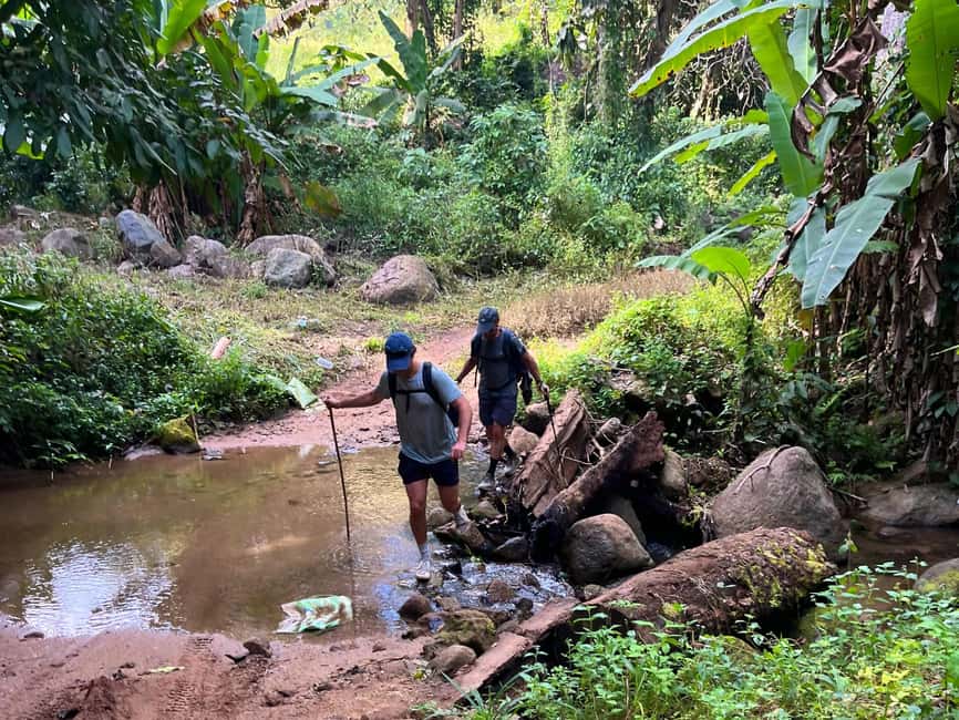 image n.3 of From Chiang Mai: High Mountain Day Trek activity in Chiang Mai Province, uploaded by supplier