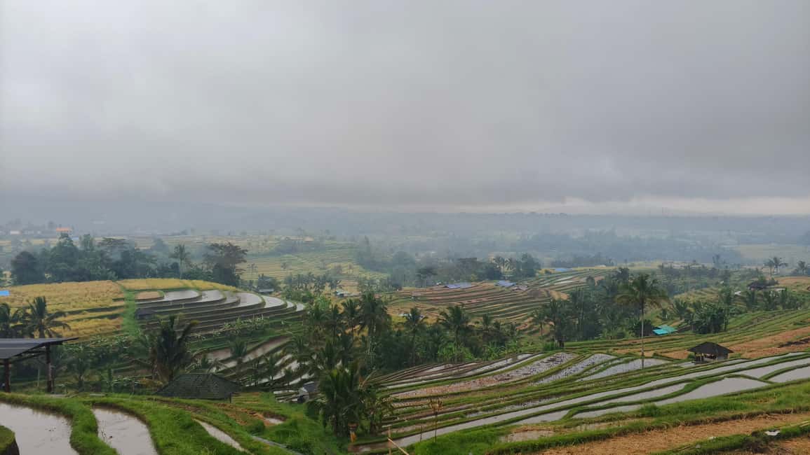 image n.10 of Ulun Danu Beratan Temple, Jatiluwih, Banyumala waterfall activity in Jatiluwih, uploaded by supplier