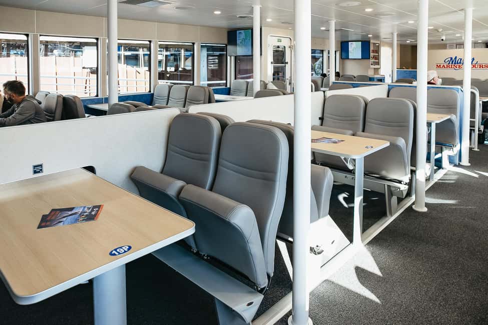 image n.7 of Seward: Kenai Fjords National Park Catamaran Cruise w/Lunch activity in Seward, uploaded by supplier