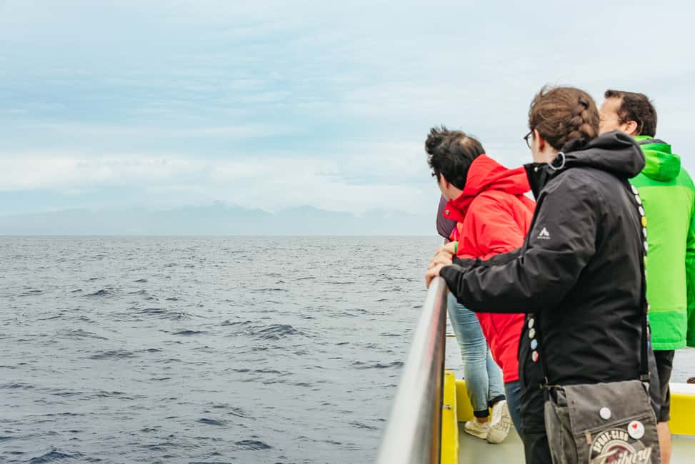 image n.17 of São Miguel: Whale-Watching Cruise with Marine Biologist activity in Ponta Delgada, uploaded by supplier