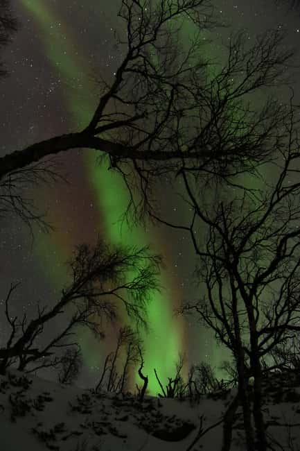 image n.8 of Abisko: Aurora Chasing with Snowmobiles activity in Norrbotten County, uploaded by supplier