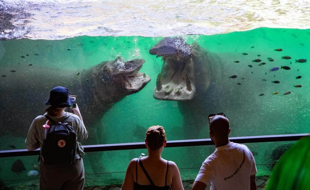 image n.21 of Valencia: Bioparc Valencia Admission Ticket activity in Valencia, uploaded by supplier