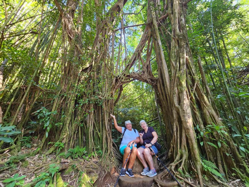 Immagine nº 18 di Oahu: Giro in bici elettrica a Waikiki ed escursione alle cascate di Manoa attività a Honolulu, caricata dal fornitore