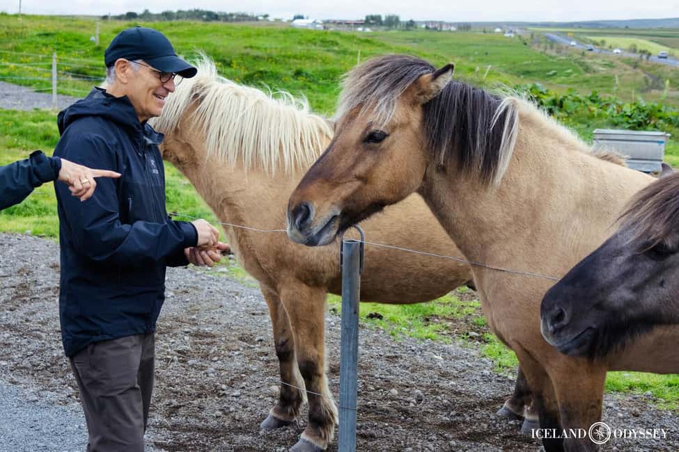 Obraz nr 9 z atrakcji Reykjavik: Golden Circle & Northern Lights Tour w Suðurland, przesłany przez organizatora