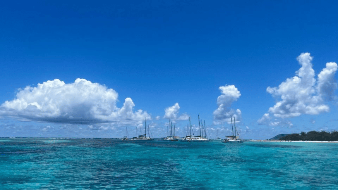 image n.2 of 3 Islands Private Speedboat w/ Lunch & Snorkeling Sea Turtle activity in Mauritius, uploaded by supplier