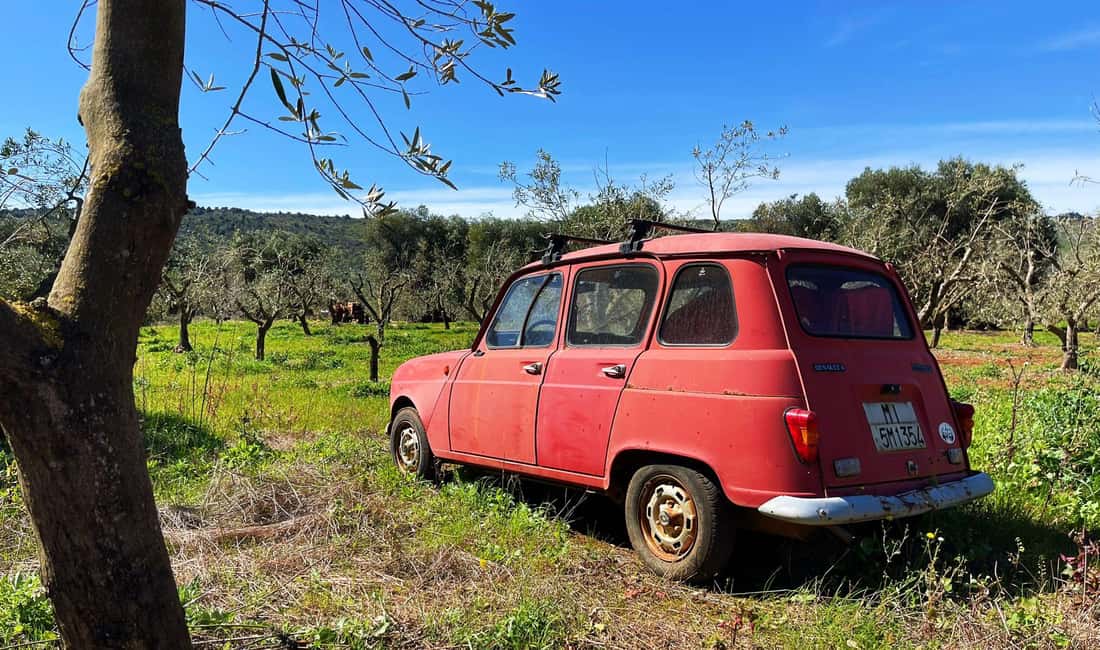 Immagine nº 32 di Ostuni: Tour in bicicletta con un bicchiere di vino e bruschetta attività a Ostuni, caricata dal fornitore