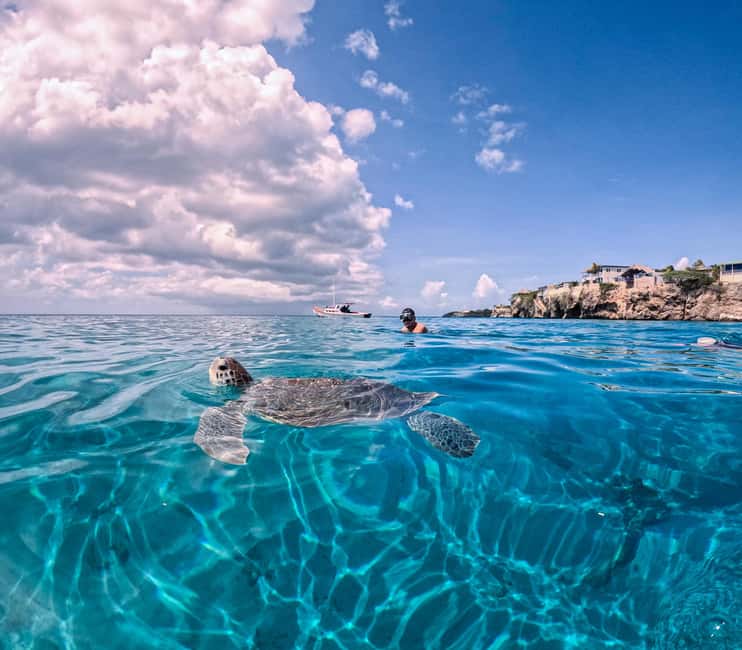 afbeelding n.8 van Curaçao: Playa Piskado Seabob Avontuur (Zeeschildpadden) activiteit in Curaçao, geüpload door aanbieder
