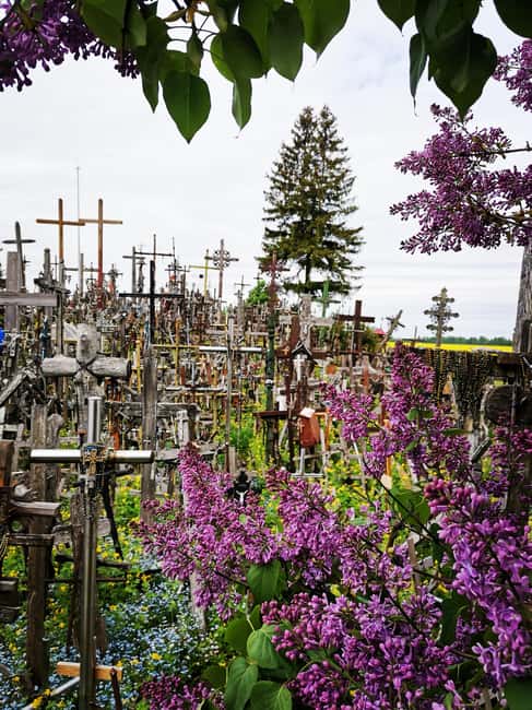 image n.11 of From Riga: The Hill of Crosses Private Guided Tour activity in Siauliai, uploaded by supplier