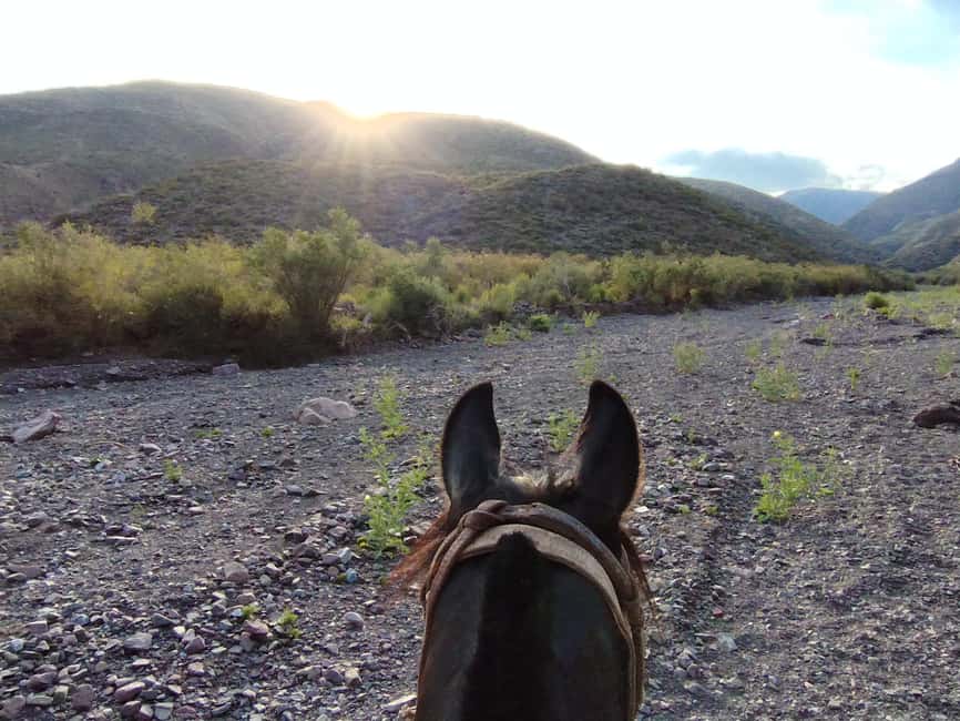 imagem n.27 de Mendoza: Passeios a cavalo nos Andes com churrasco autêntico atividade em Província de Mendoza, carregada pelo fornecedor