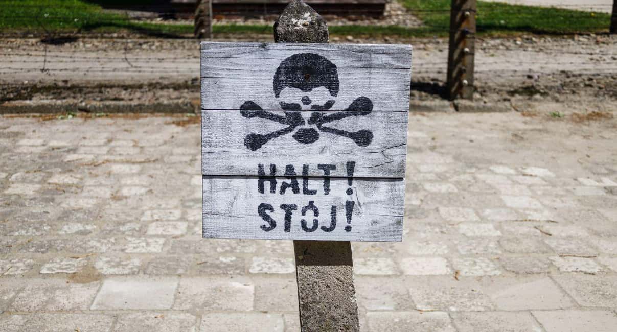 Immagine nº 14 di Da Varsavia: Tour guidato ad Auschwitz-Birkenau e a Cracovia attività a Oswiecim, caricata dal fornitore