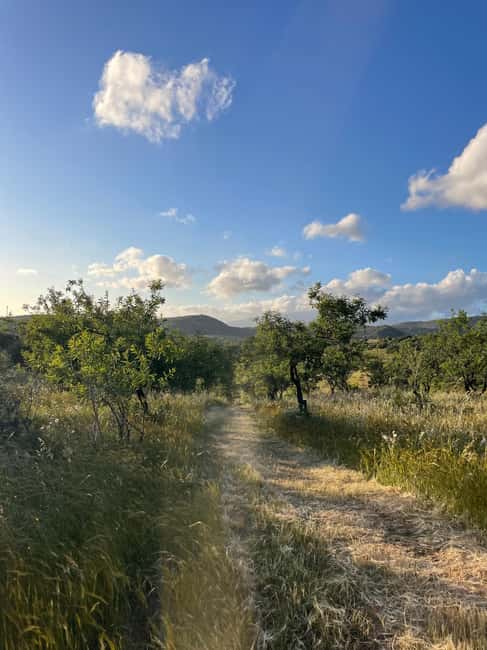 image n.5 of Near Cagliari: Almond Blossom Magic at "In Our Garden" (new) activity in Quartu Sant'Elena, uploaded by supplier