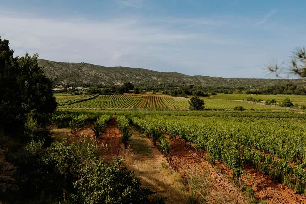 imagem n.6 de A riqueza da Provença num só dia - viagem privada personalizável atividade em Les Baux-de-Provence, carregada pelo fornecedor