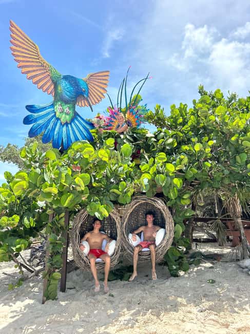 Image N°5 de Nassau : Cochons, plongée en apnée, tortues, déjeuner, club de plage privé activité à New Providence, publiée par le prestataire