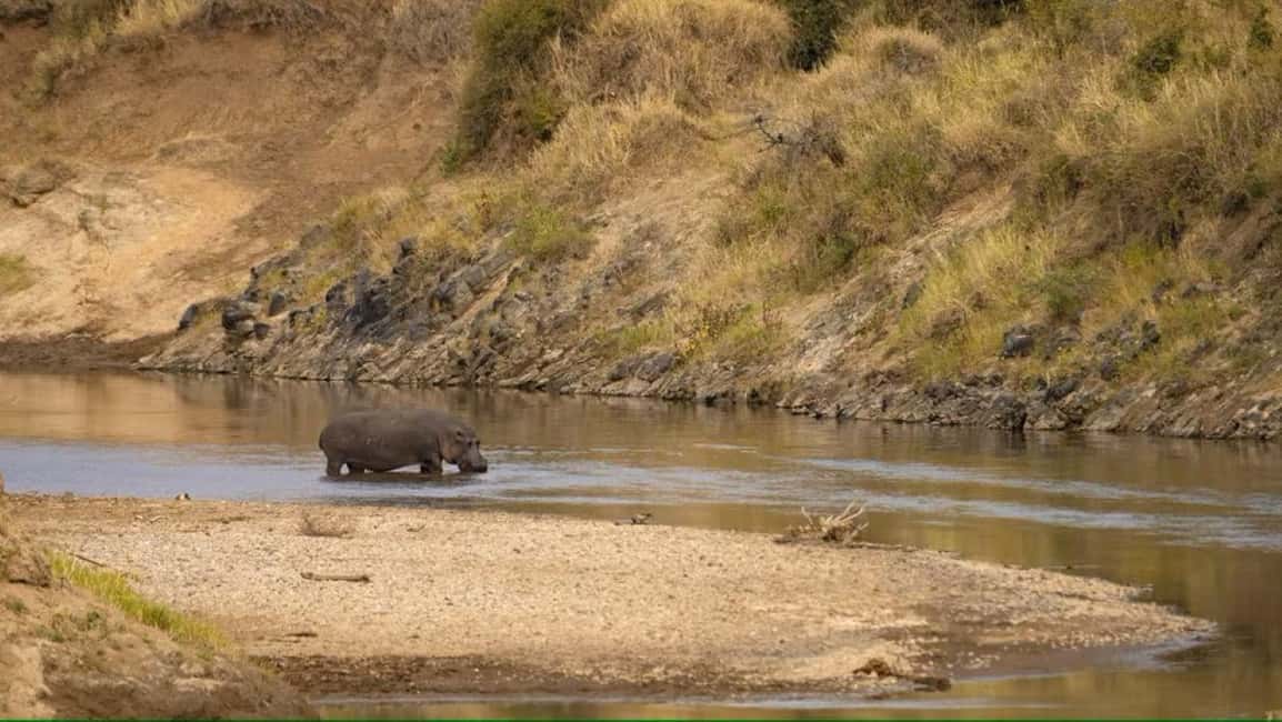 image n.30 of 2-Days Wildlife Safari to Tsavo East & Tsavo West Park activity in Coast Province, uploaded by supplier